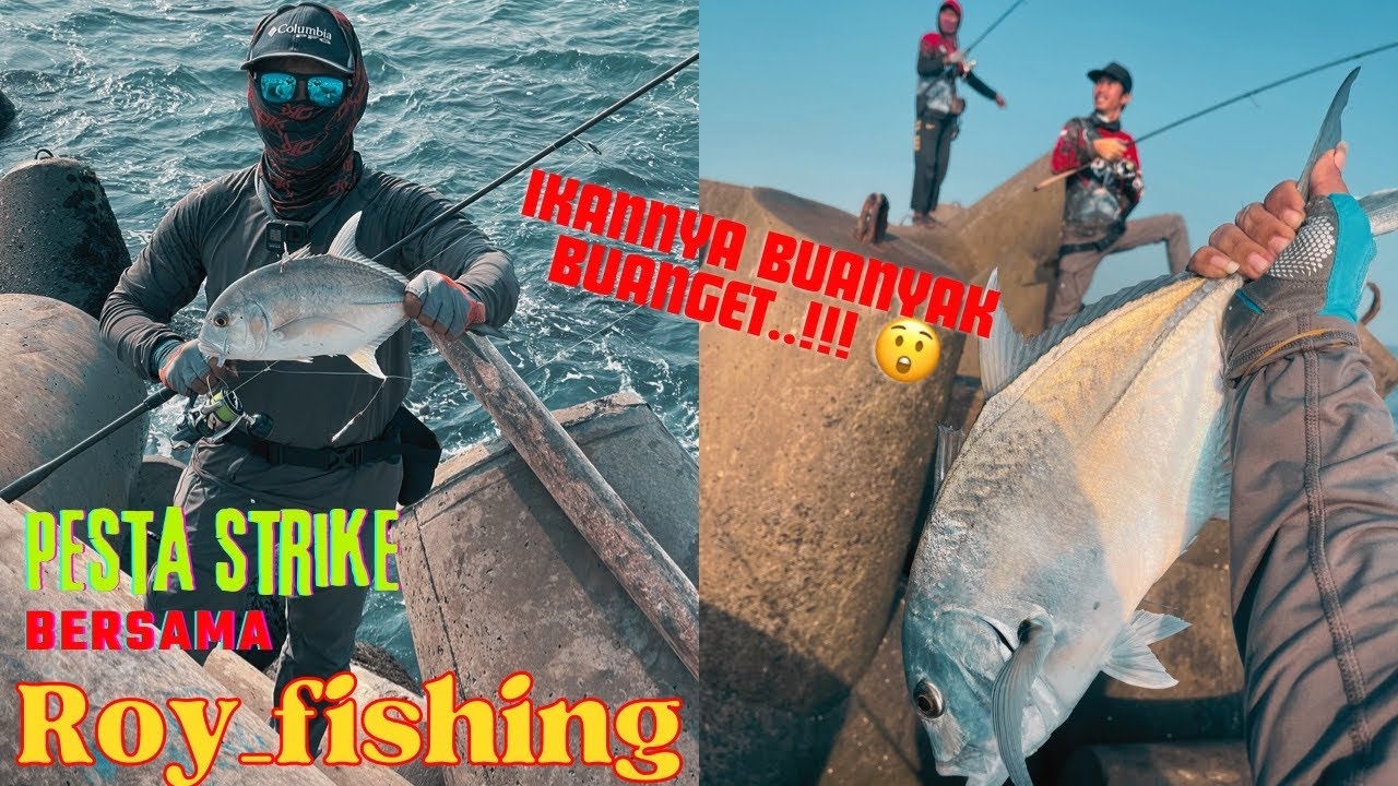 PESTA STRIKE..!!! Ikan Sekarung Dibawa Pulang Roy Tetra | Pemecah Gelombang Pantai Glagah