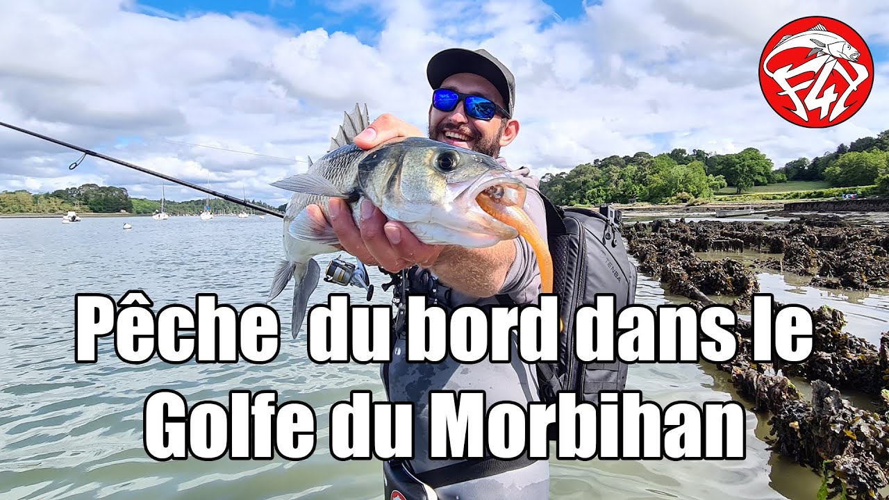 PÊCHE DU BAR DU BORD DANS LE GOLFE DU MORBIHAN