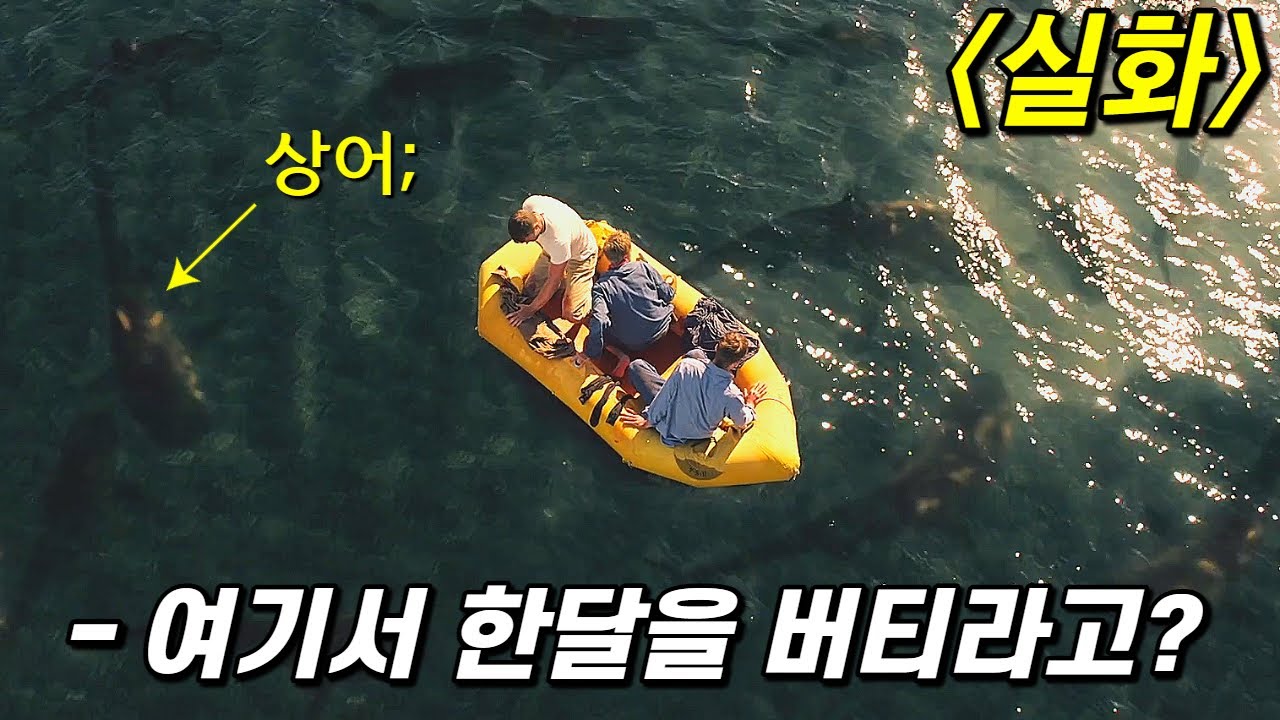 고무보트를 타고 태평양을 표류하면 생기는 일. 실화주의 (영화리뷰 / 결말포함)
