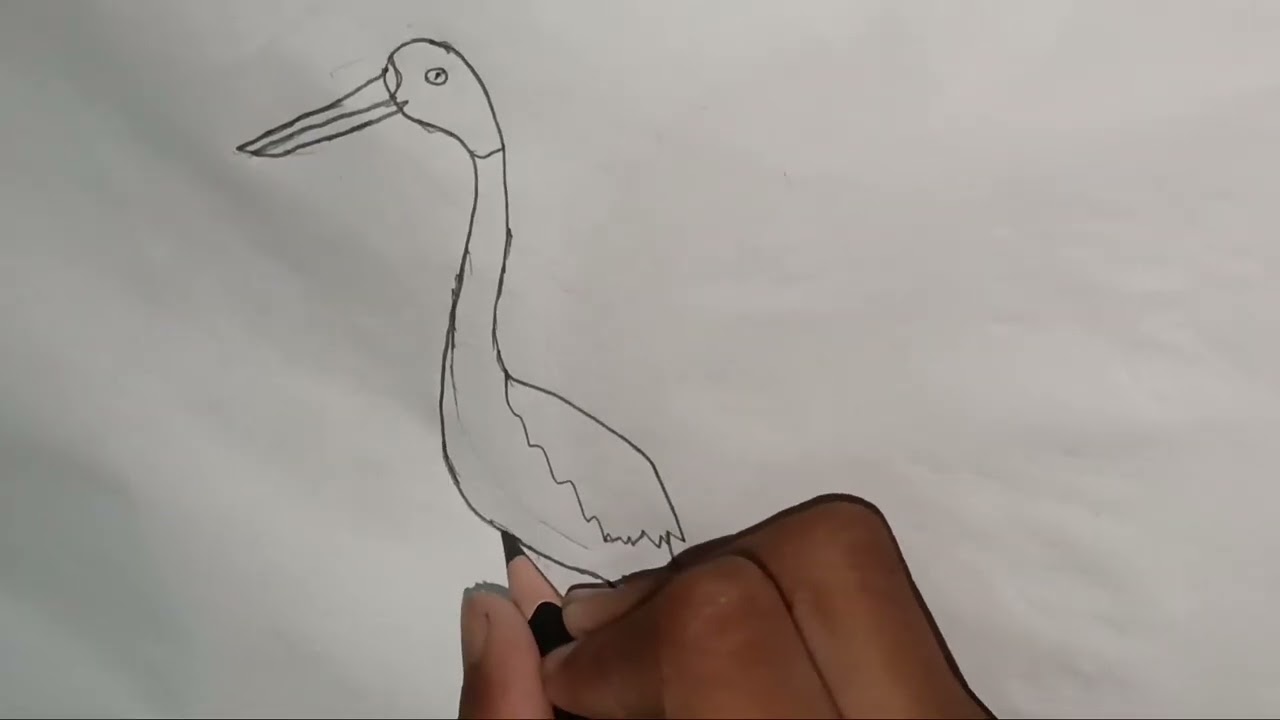 How to Draw a Crane Bird 🐦 | Easy Bird Drawing for Kids | Step-by-Step | Dishaan’s World