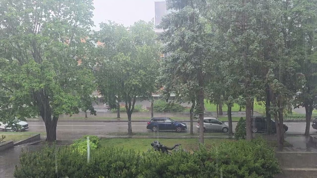 Rain in Palanga 14/07/2025