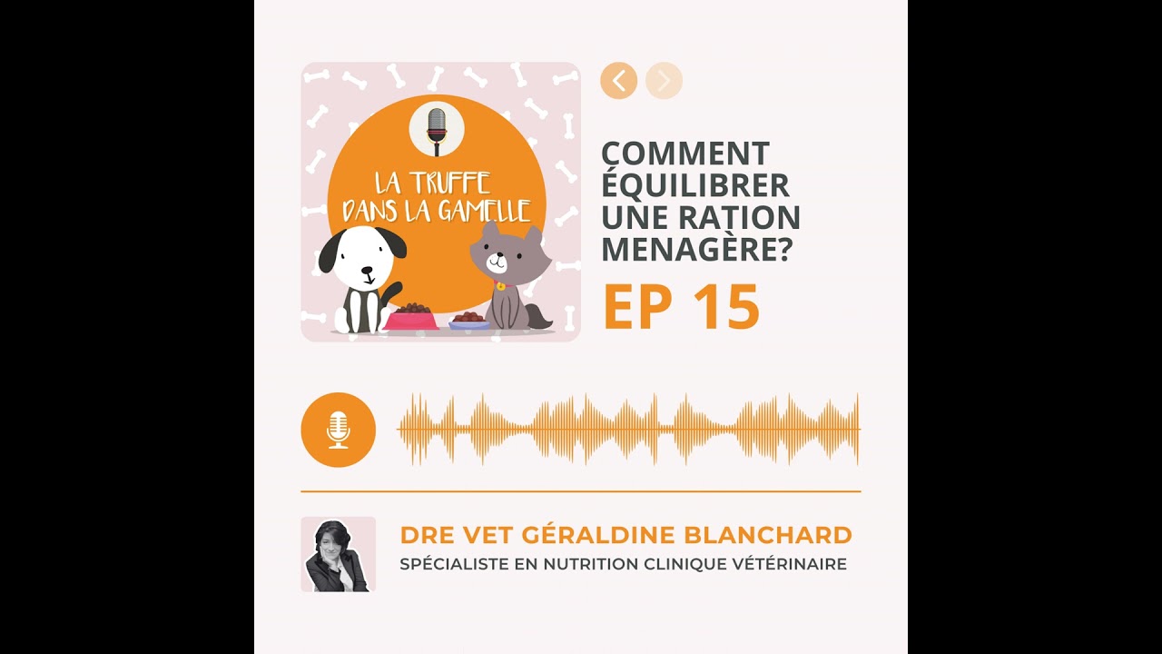 Comment équilibrer une ration menagère?