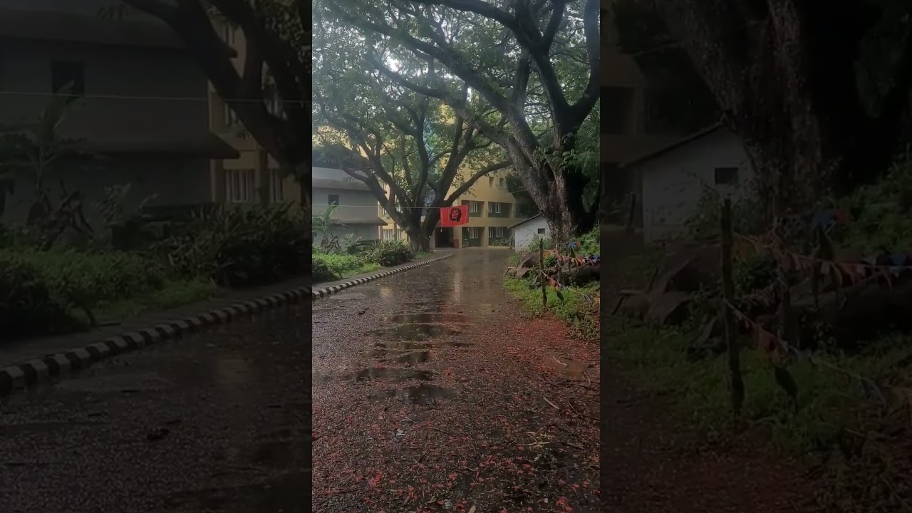 Govt arts and science college calicut 🤩