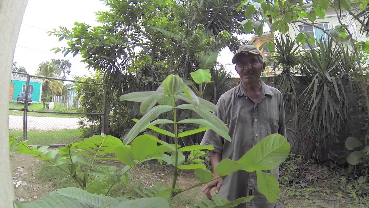 Loving Belize Episode 12 - Tourist Advice, Whirlwind tour of Belize