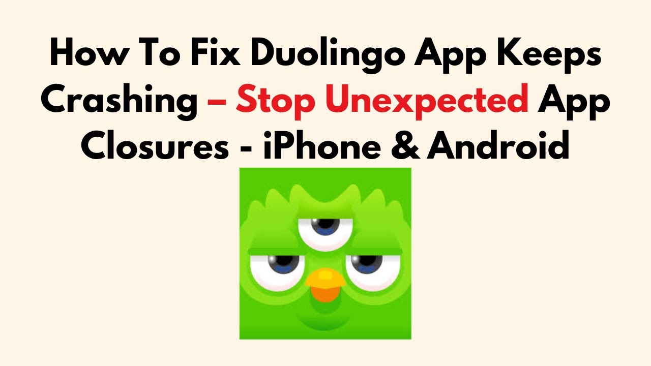 How To Fix Duolingo App Keeps Crashing &ndash; Stop Unexpected App Closures - iPhone & Android