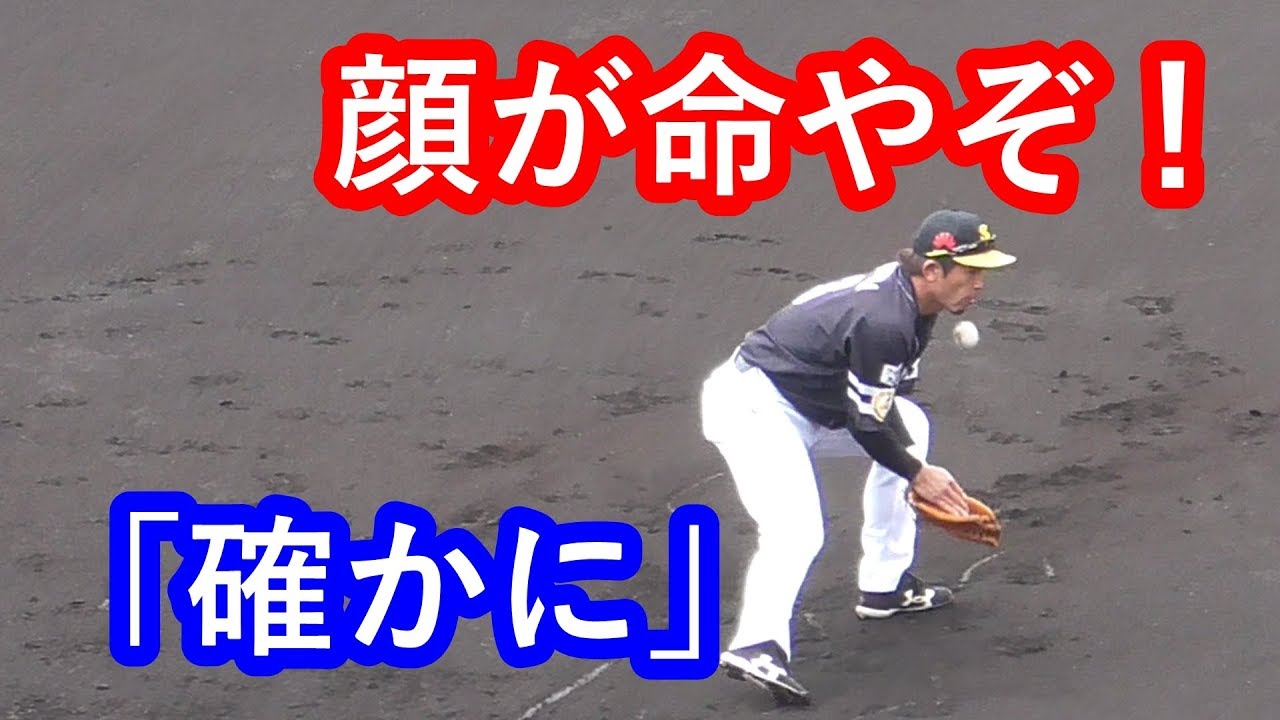 松田宣浩ノックで顔面強打 ホークス春季キャンプ （2018-0221）