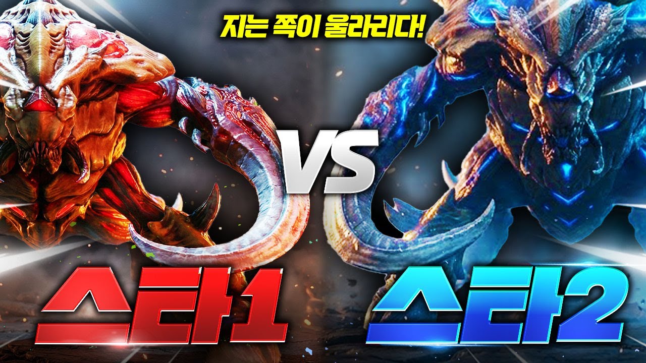 스타1 vs 스타2, 자존심 대결! 지는 쪽은 평생 '울라리' 입니다