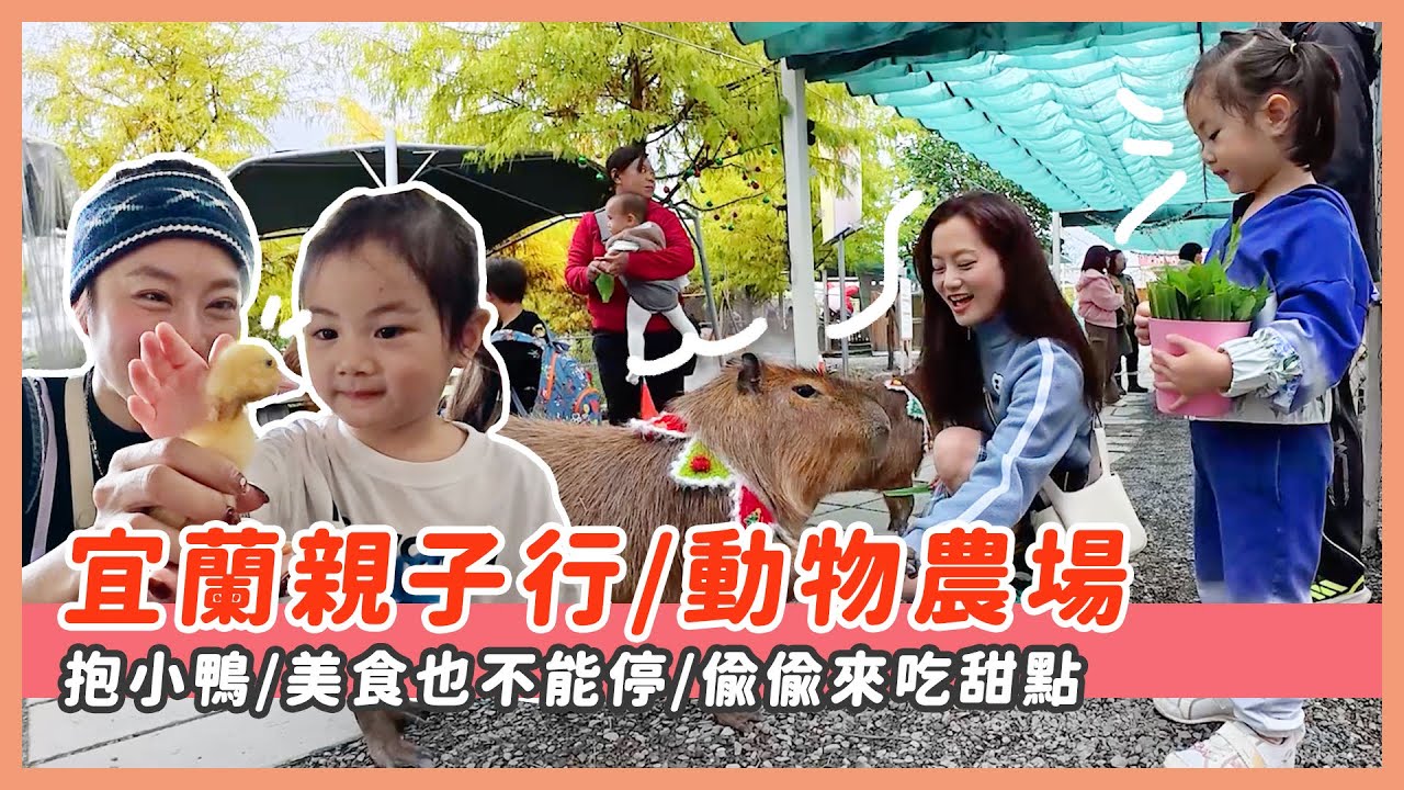 宜蘭親子行/動物農場/偷偷來吃甜點/鐵板燒/定食
