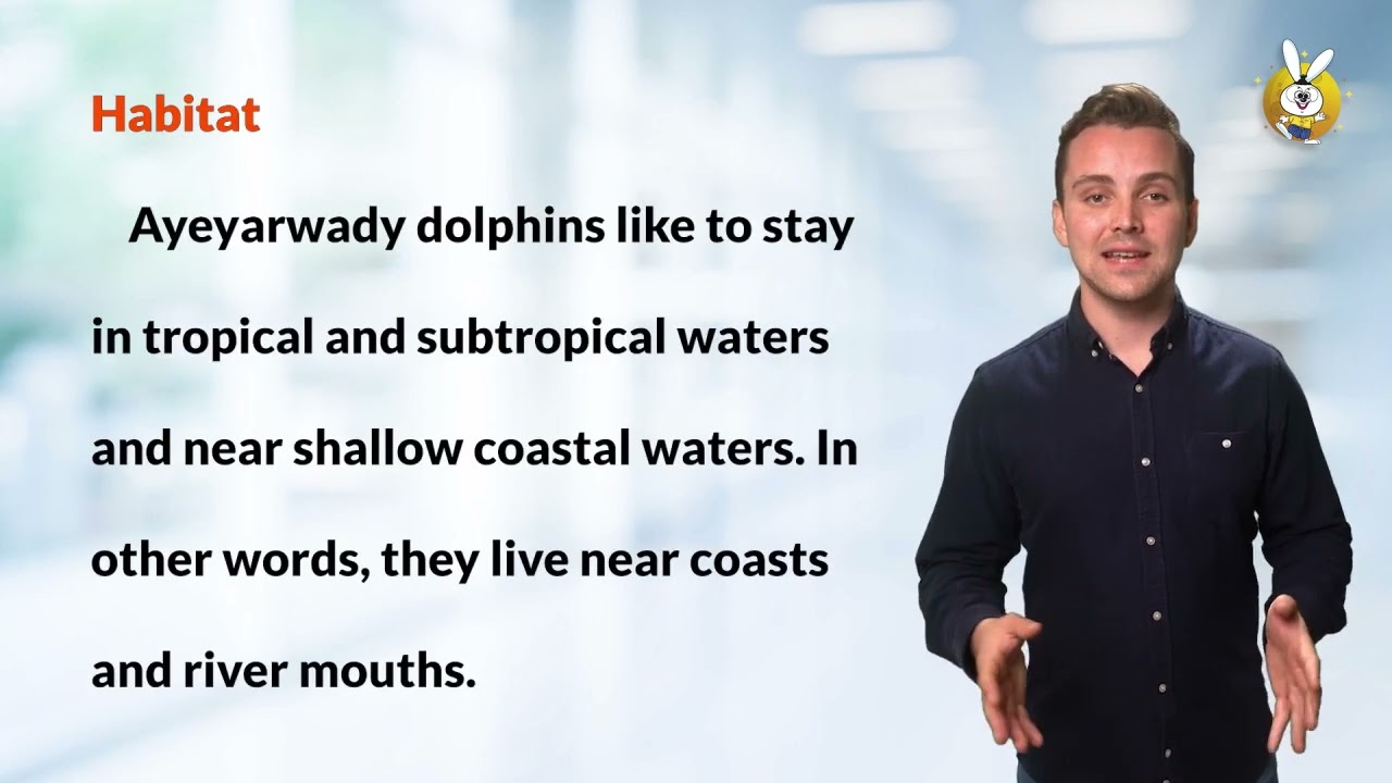 Grade 11 Unit 1 The Ayeyarwady Dolphins  Read The Passage
