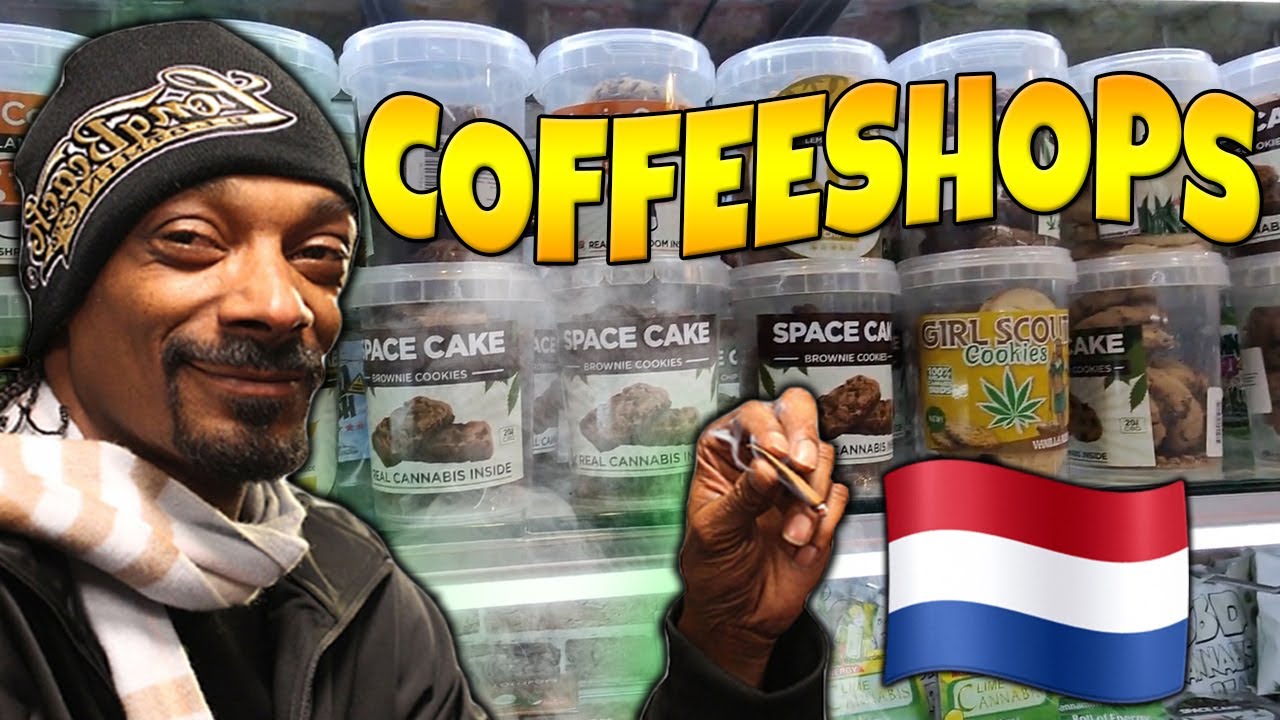 COFFEESHOPS Y HONGOS M&Aacute;GICOS | AMSTERDAM