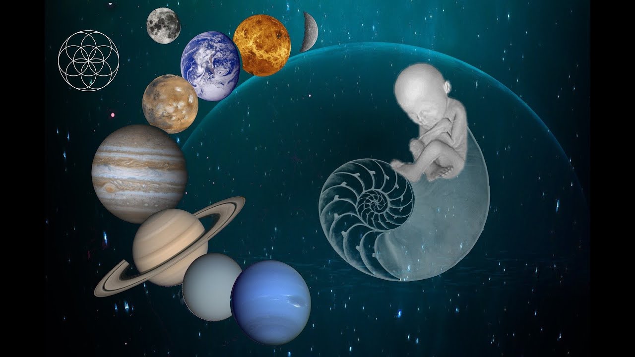 EIST - 6&egrave;me - La vie dans un milieu naturel