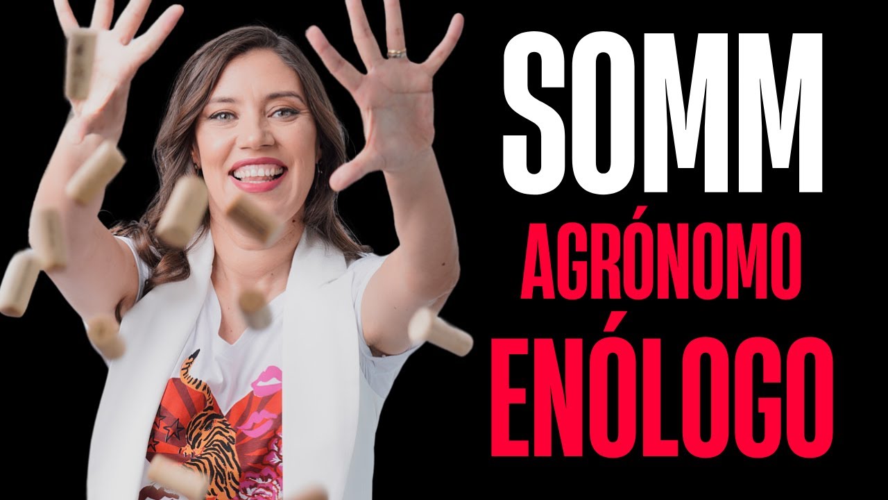 🍇 ¿Enólogo, agrónomo o sommelier? ⁠ ¿Cuáles son las diferencias?
