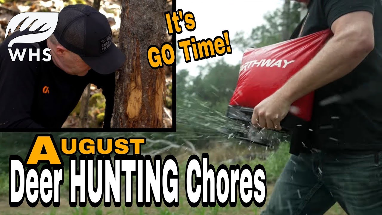 August Deer Hunting Chores