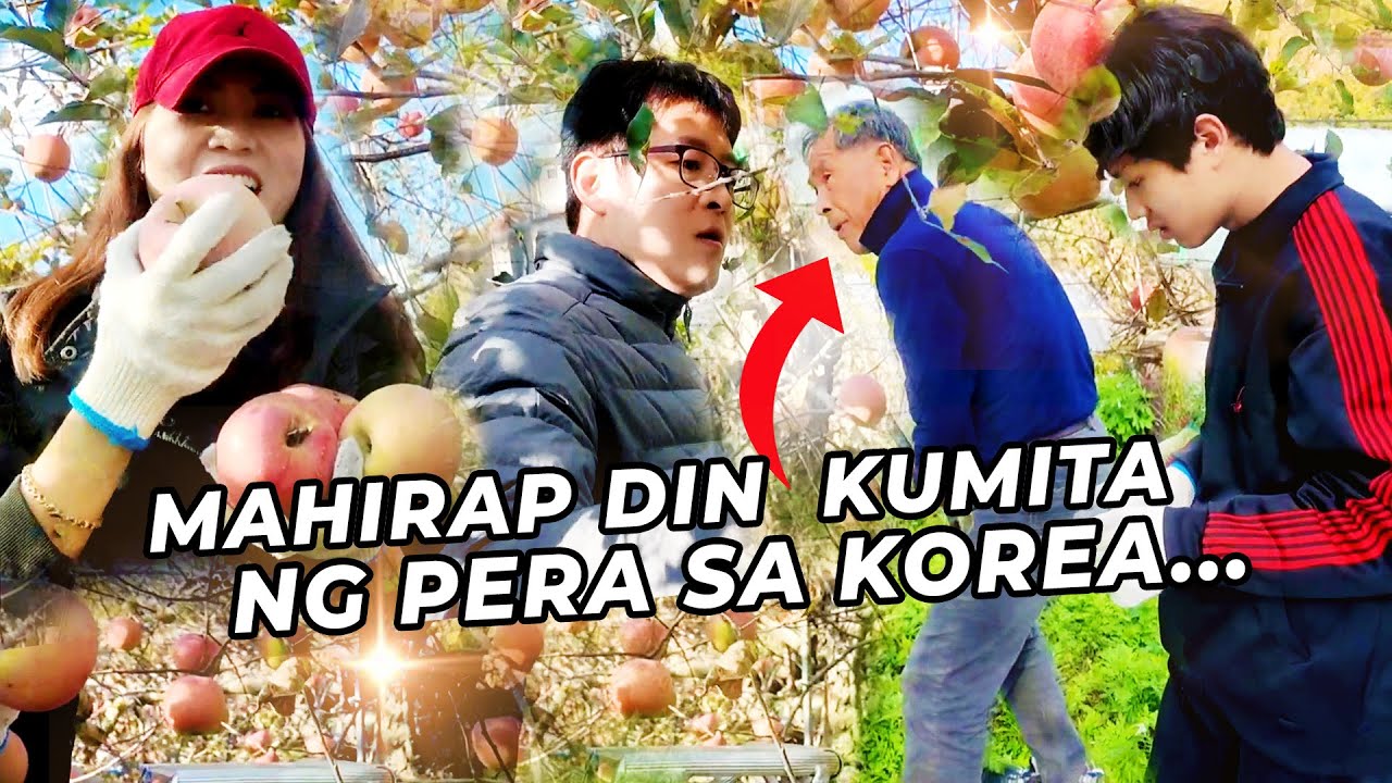 LIFE IN KOREA | HOW STRICT ABEOJI IS WHEN IT COMES TO APPLES | BANTAY SARADO KAMI! | #pmsk