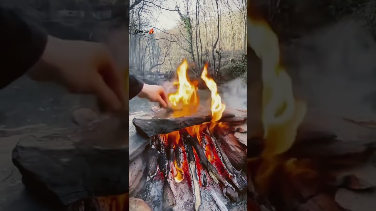 Salmon fish grilled on hot roks in the middle of nature create a special fish flavour 🐟⛺️