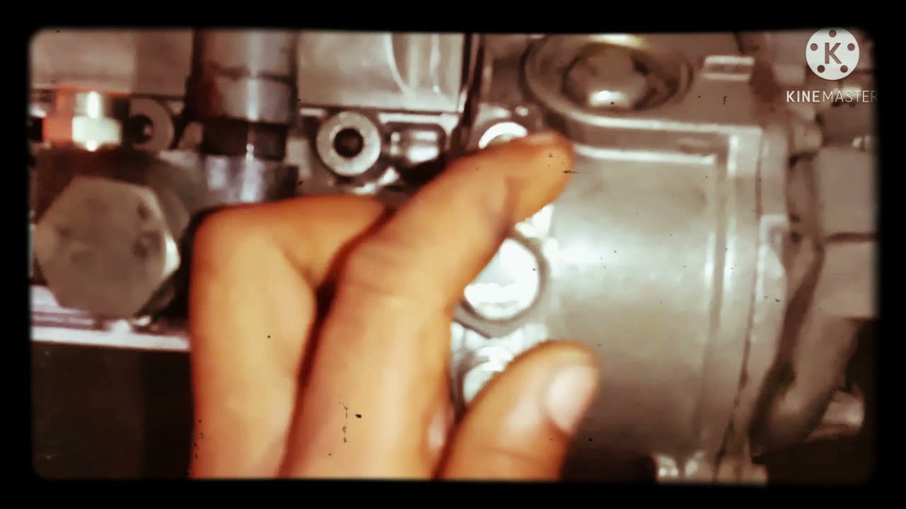 1615.  Tata.  palm. Commission timing video.  2021