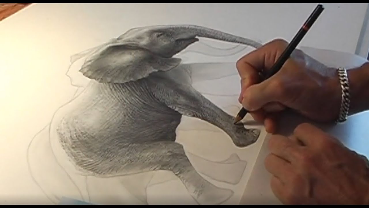 Gary Hodges Drawing 'Joy' Nature in Art