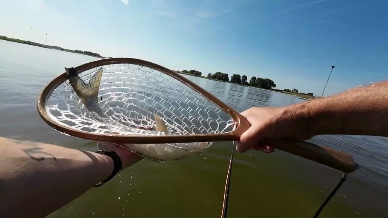 Mooie zomerse dag vliegvissen op de Waal