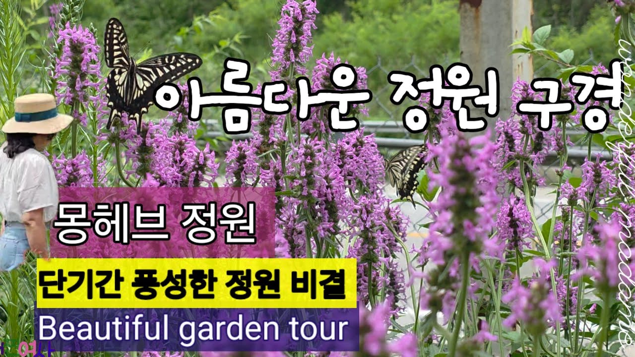 3,000평 정원을 2년만에 풍성하게 알뜰하게 꽃 채우는 비결 소개/ 대형정원을 단기간에 식물 늘려서 가꾼, 비법 꿀팁들!