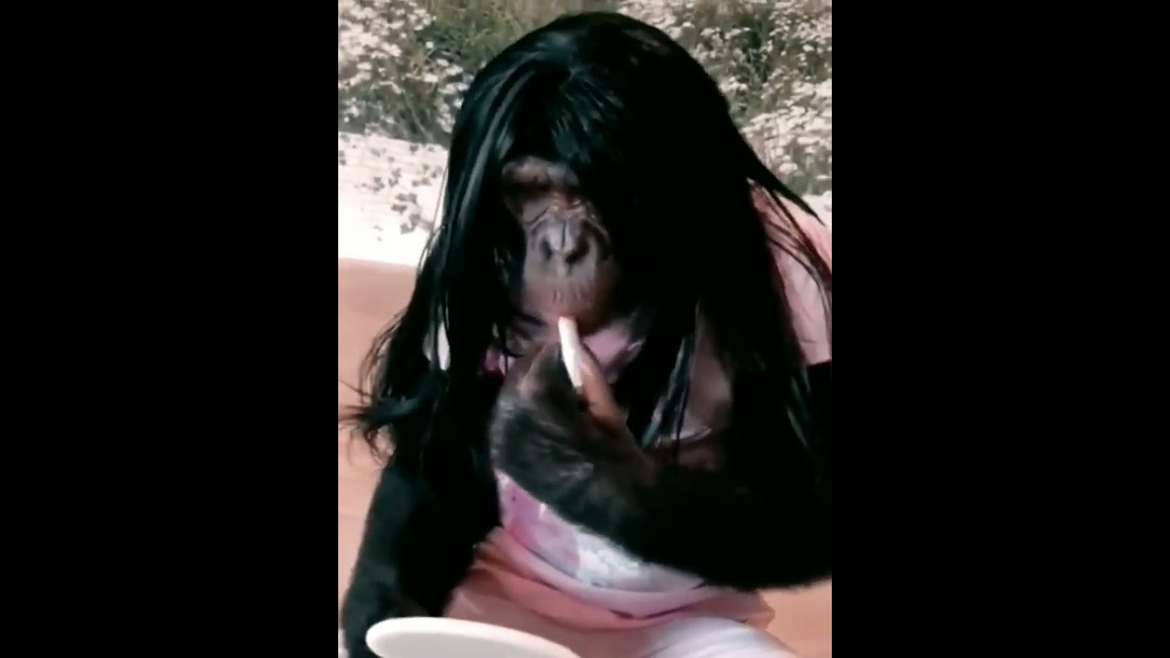 look how gorilla makeup use lipstick 💄