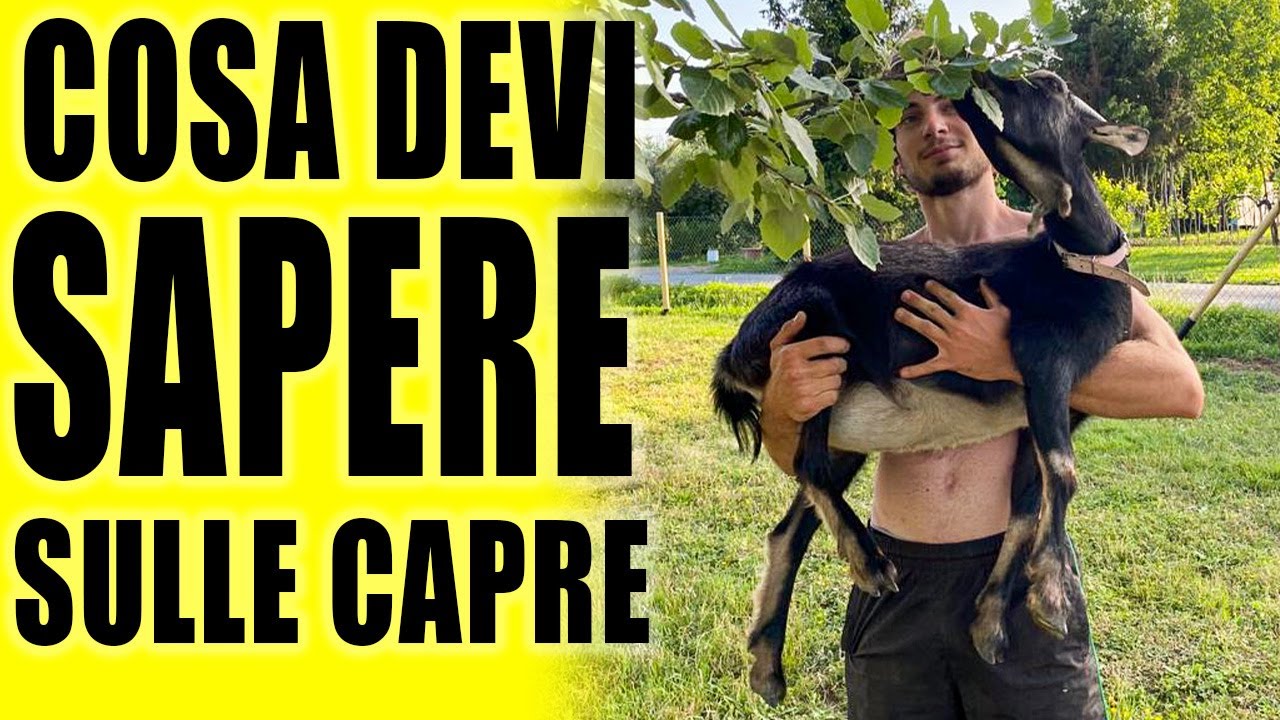 AVERE DELLE CAPRE - COSA SERVE