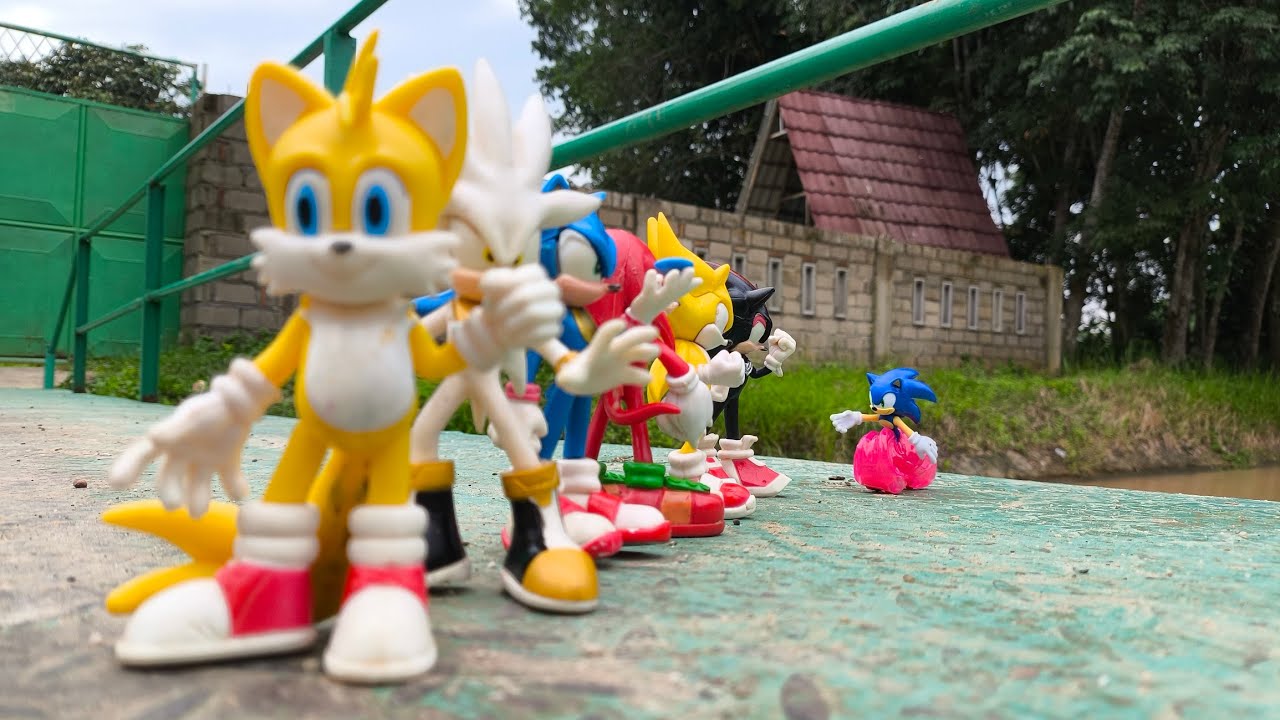Sonic Hunter | Sonic Hedgehog | Knuckles | Tails | Super Sonic | Sonic Shadow | Metal Sonic | Amy
