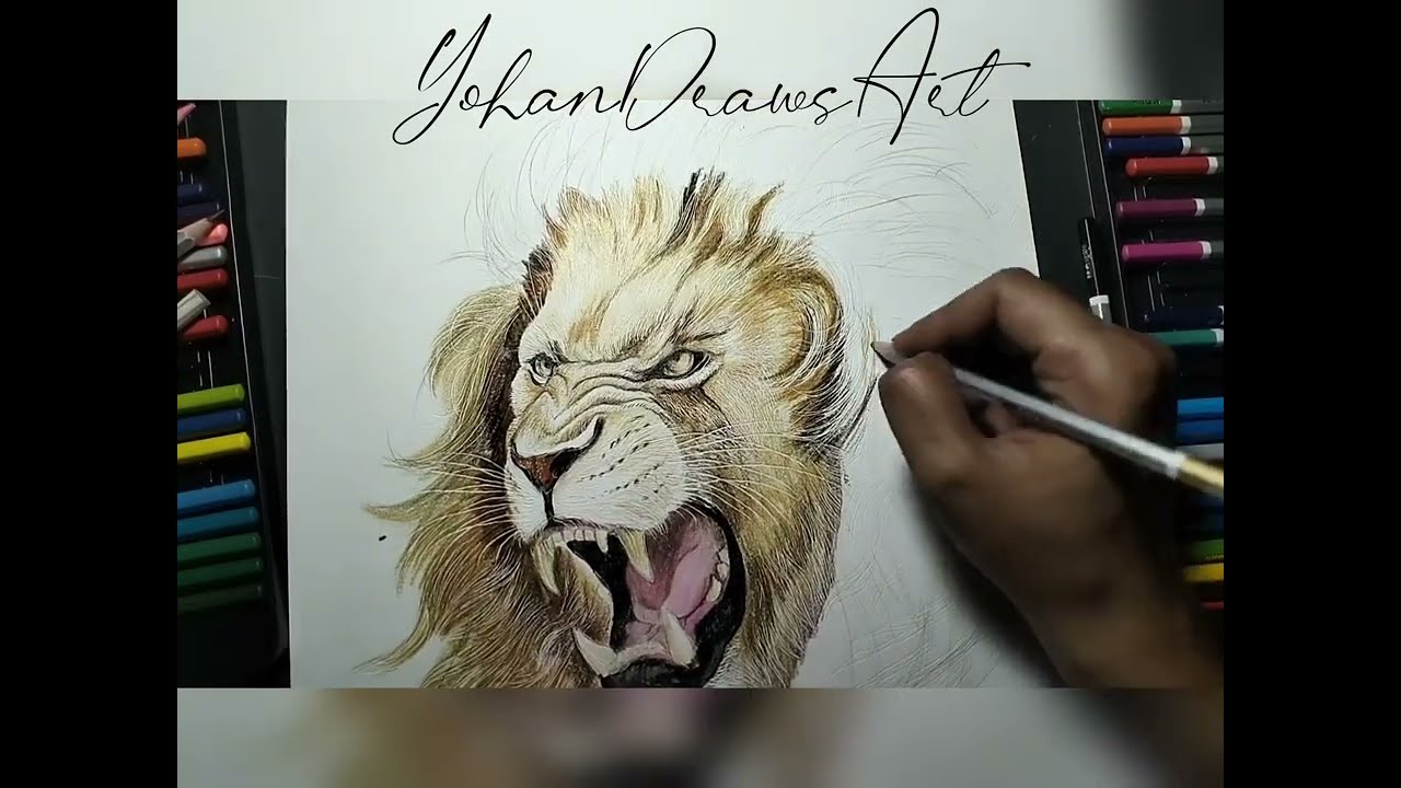 Cara Menggambar Kepala Singa || How To Draw Lion Head || TUTORIAL || STEP BY STEP  - Yohan Draws Art