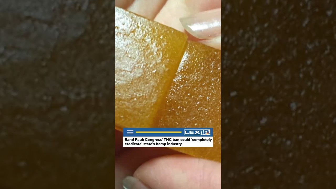 Rand Paul: Congress' THC ban could 'completely eradicate' state's hemp industry