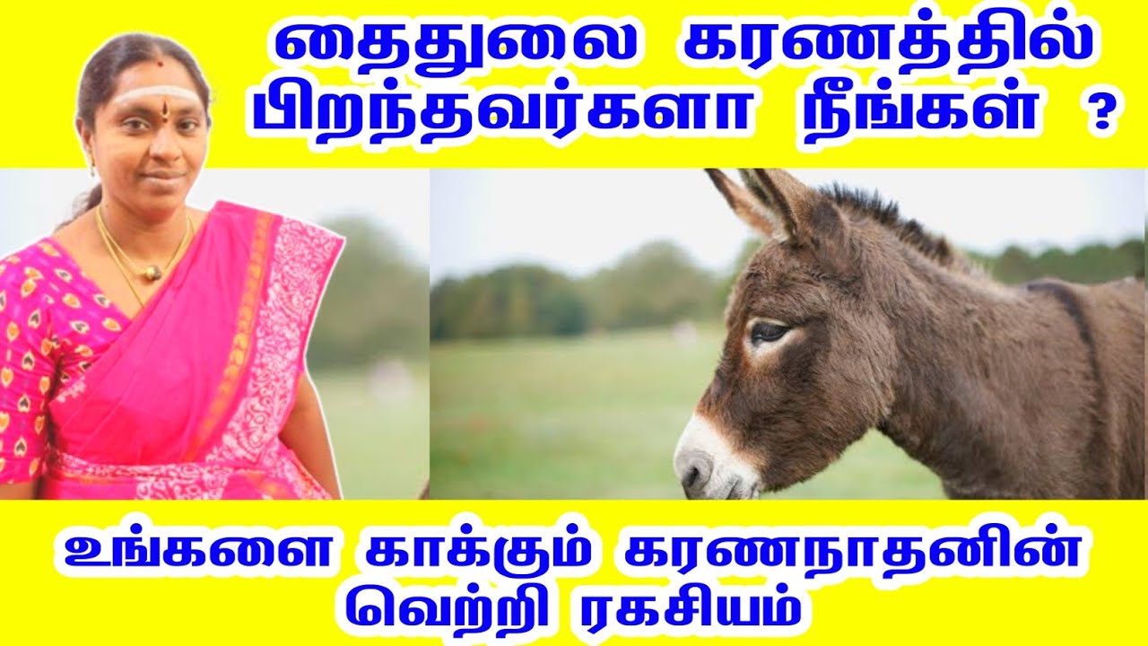 தைதுலை கரணம் கரணத்தில் பிறந்தவர்களா ? உங்களை காக்கும் கரணநாதன் வெற்றி ரகசியம் | thaithulai karanam