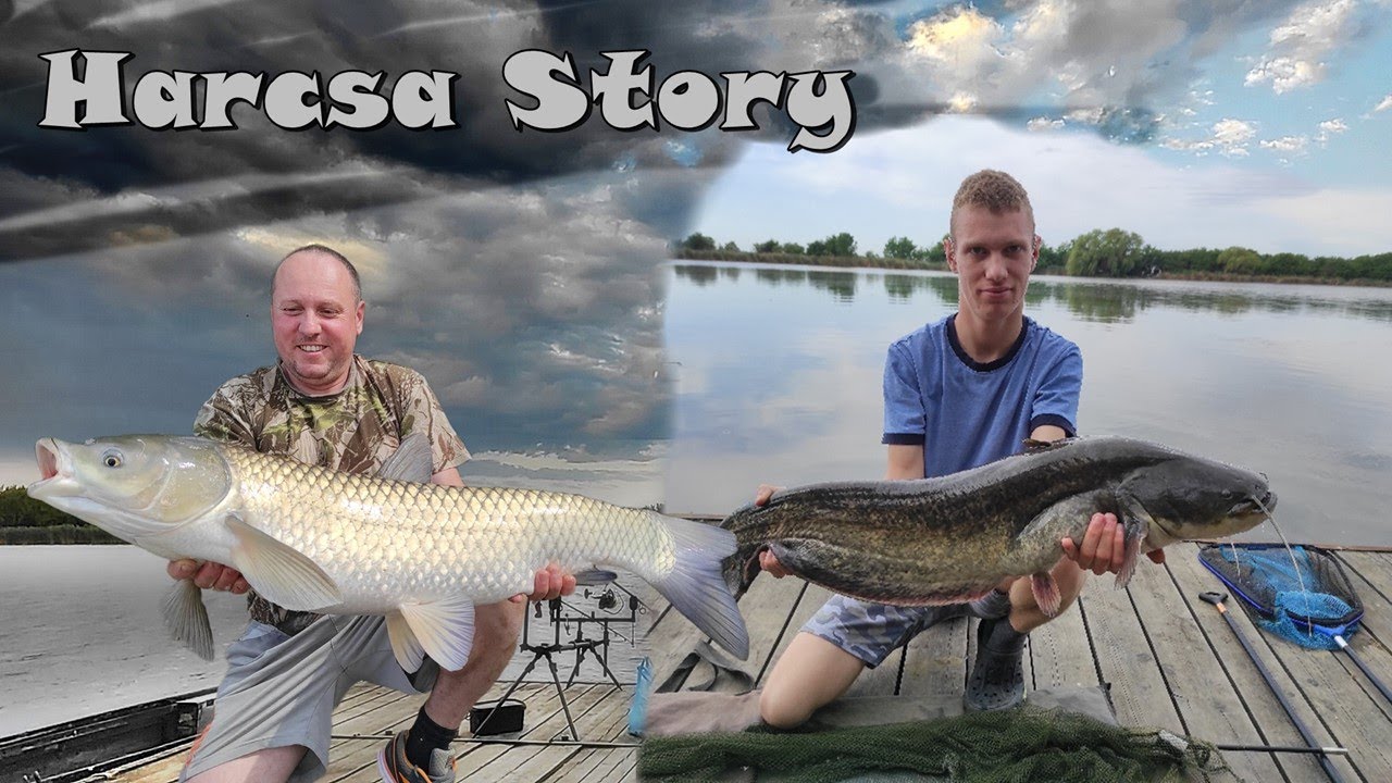 Bordás Kosárral az Atkai-Holtágon 6. rész - Harcsa Story