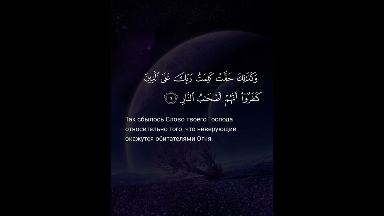 Сура Гафир (Прощающий). Чтец: Ясир Ад-Даусари