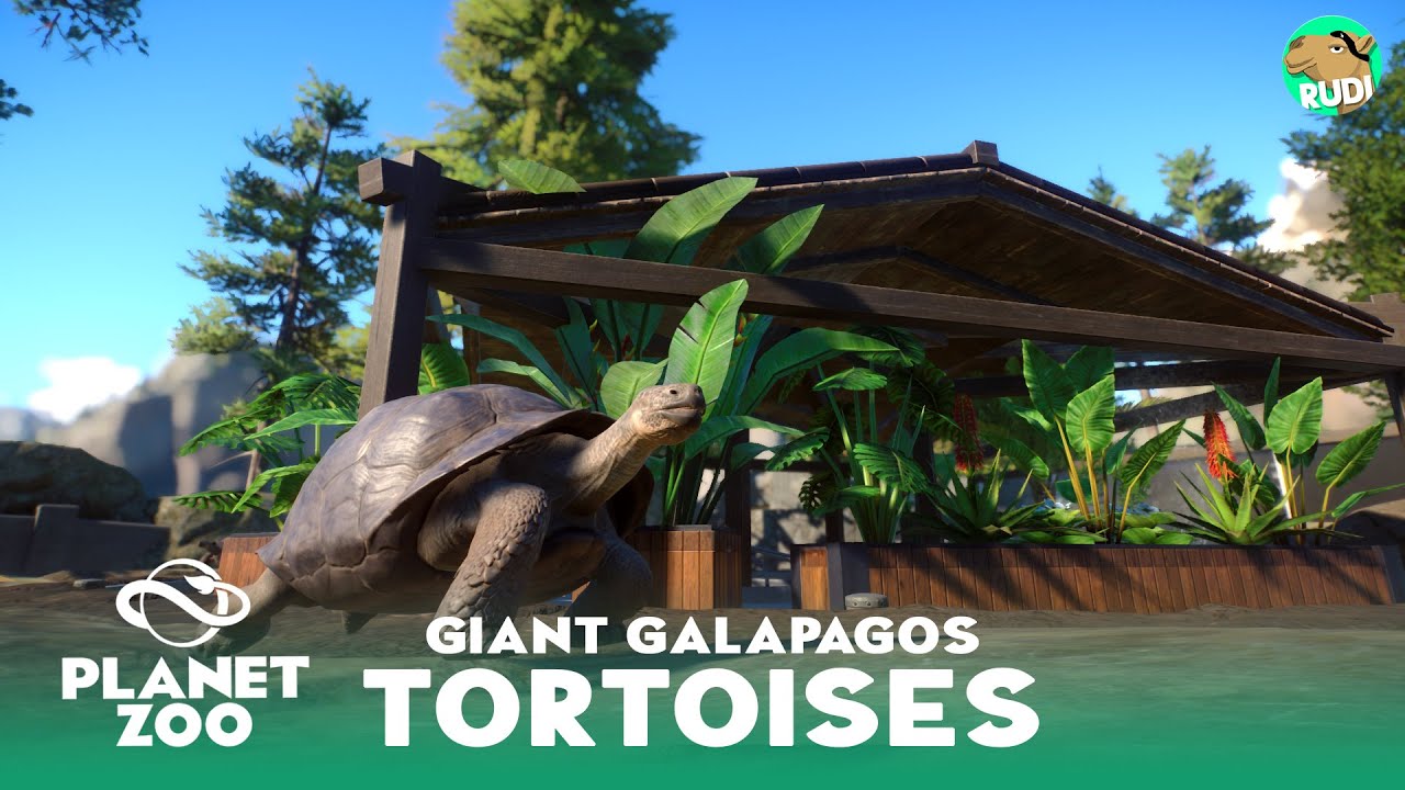 Galapagos Tortoise nature Habitat - Planet Zoo Speed Build - Yosemite Valley Zoo