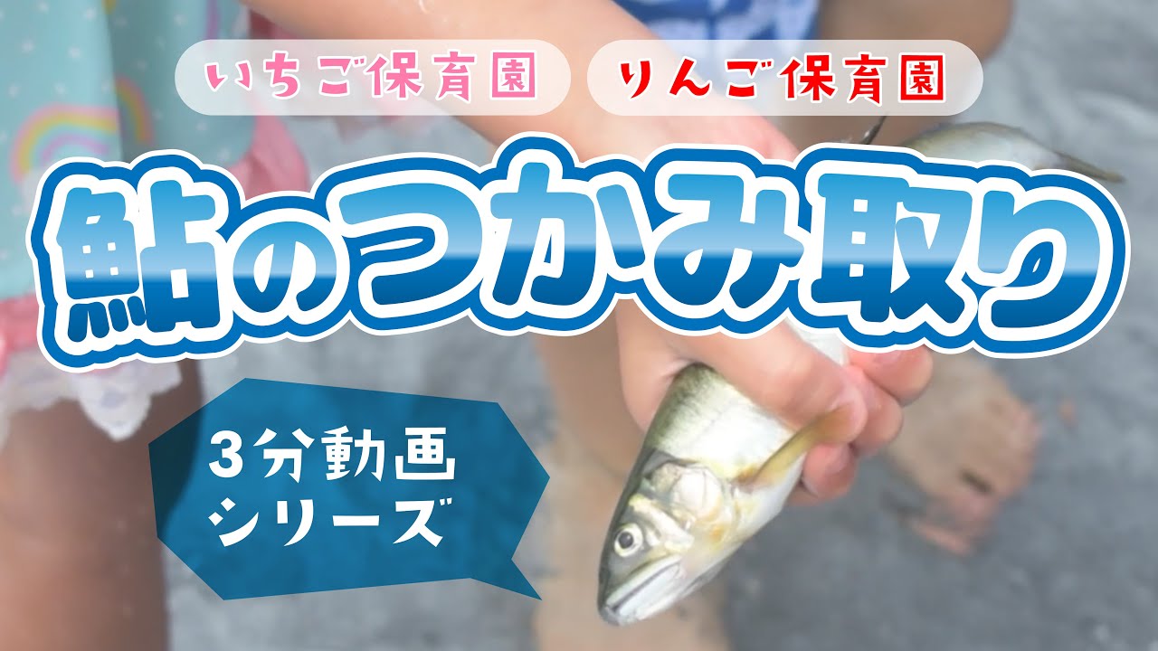 【楽しい♪鮎のつかみ取り】いちご保育園 りんご保育園