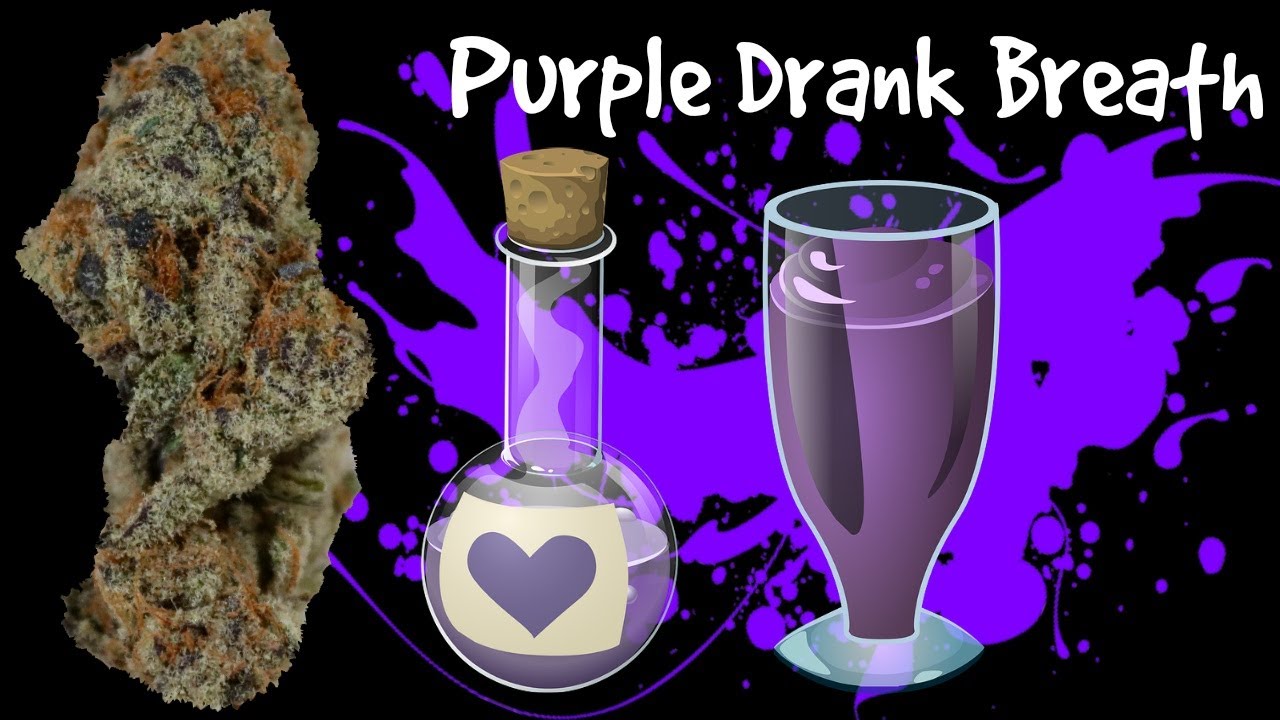 Purple Drank Breath OFFICIAL Strain Review 😈 😈 😈
