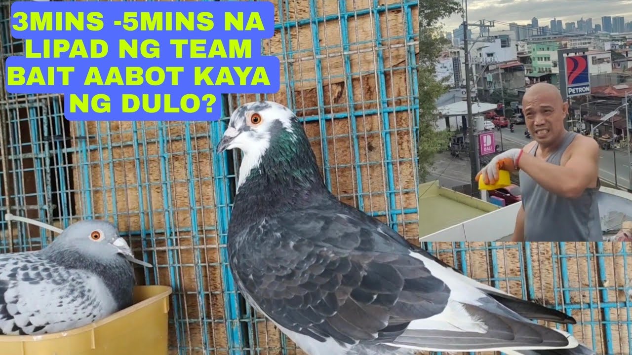 ARAY KO 3-5MINS LANG RUMONDA IBON NI BAIT...MAKAKADULO PA KYA?