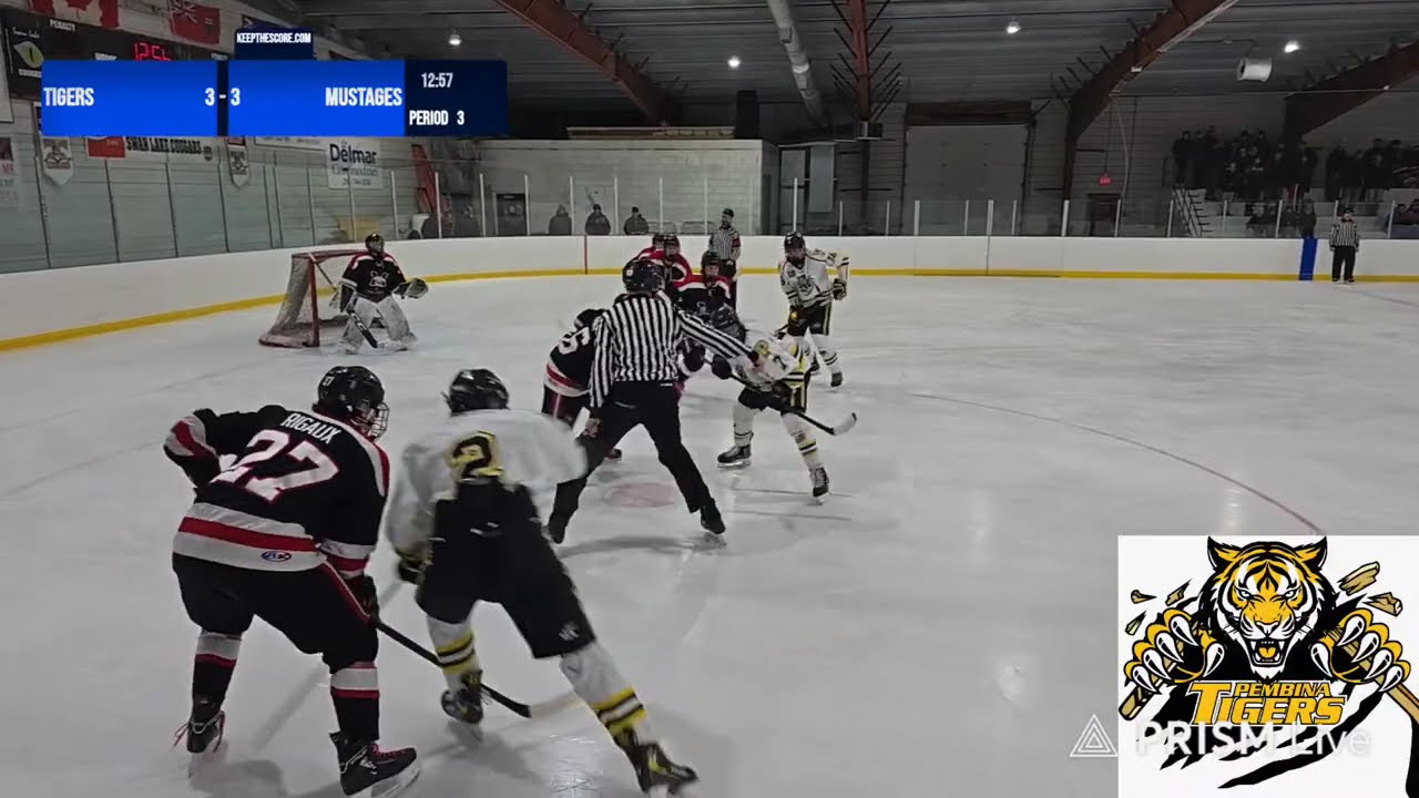 Tigers vs Swanlake   christmas game live from Swan Lake Jan 2026 3rd