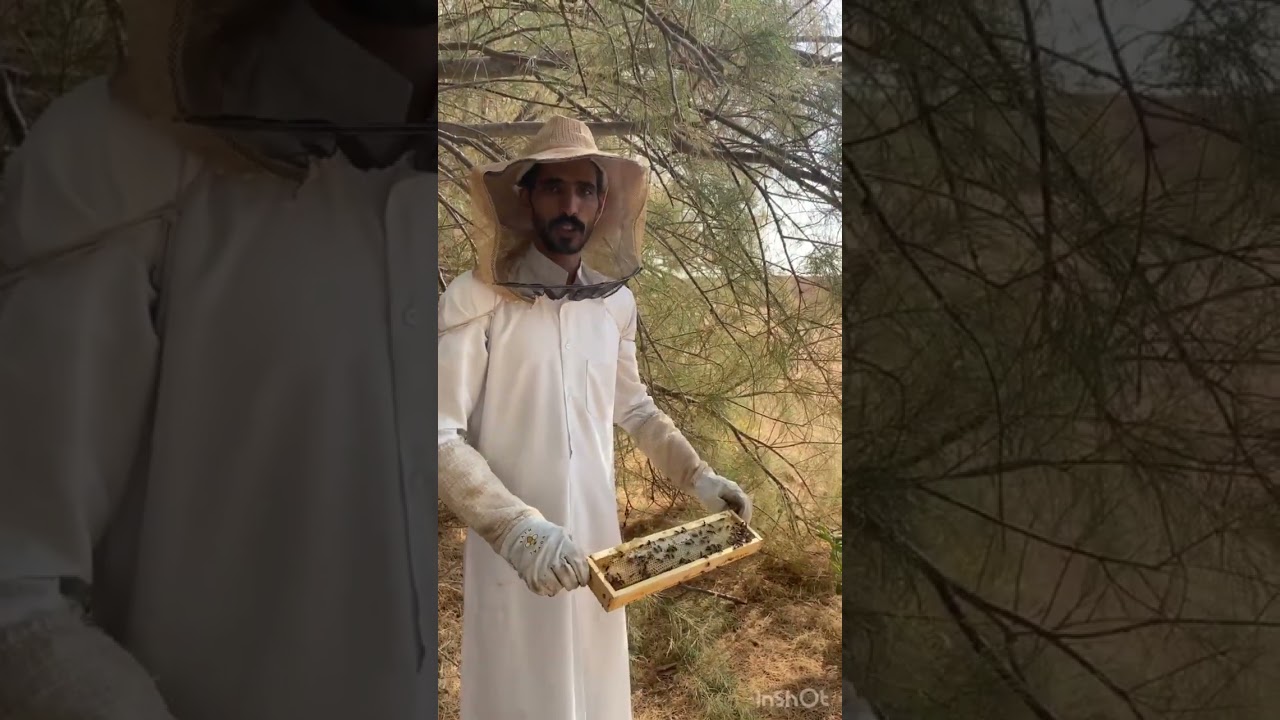 براويز لانجستروث فكره وتصميم  النحال عبدالله الرشيدي