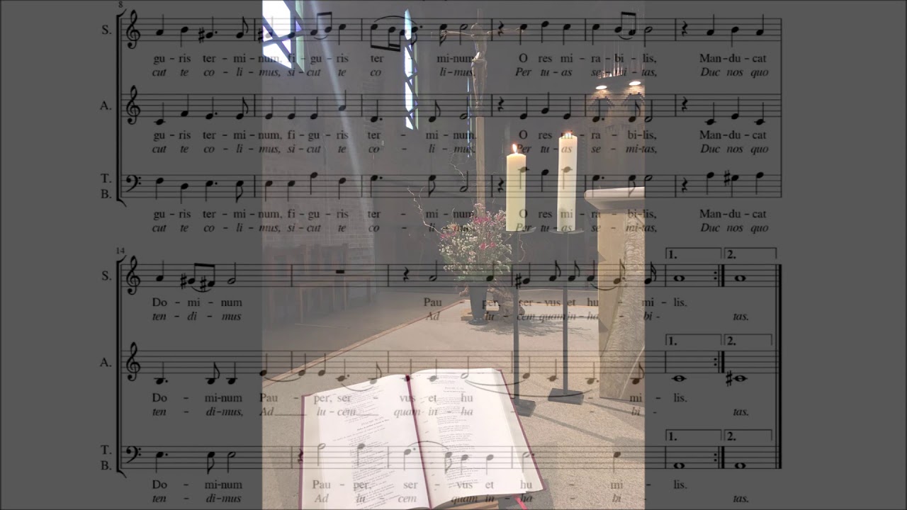 Panis angelicus, Claudio Casciolini