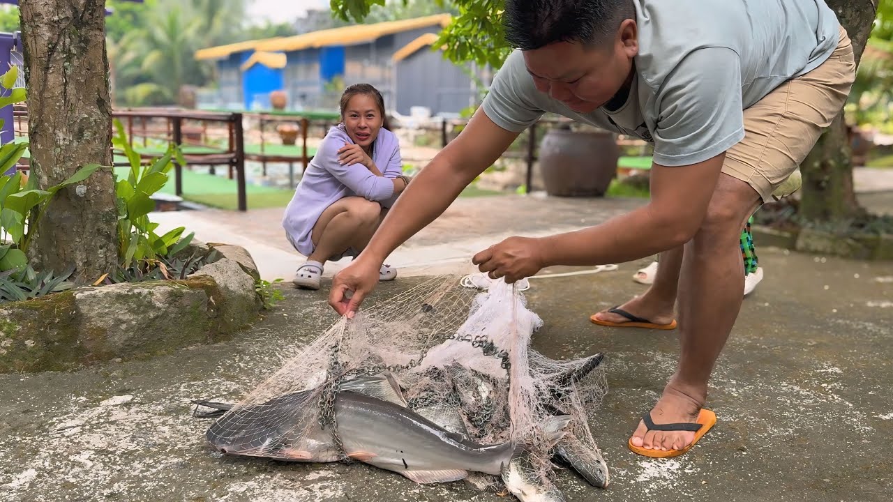 CHÀI MỘT CÁI CÁ ĂN KHÔNG HẾT/LÀM KHÔ,CƠM DÂN DÃ 