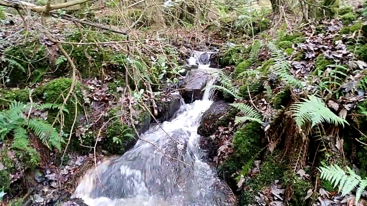 Gold panning in Ireland