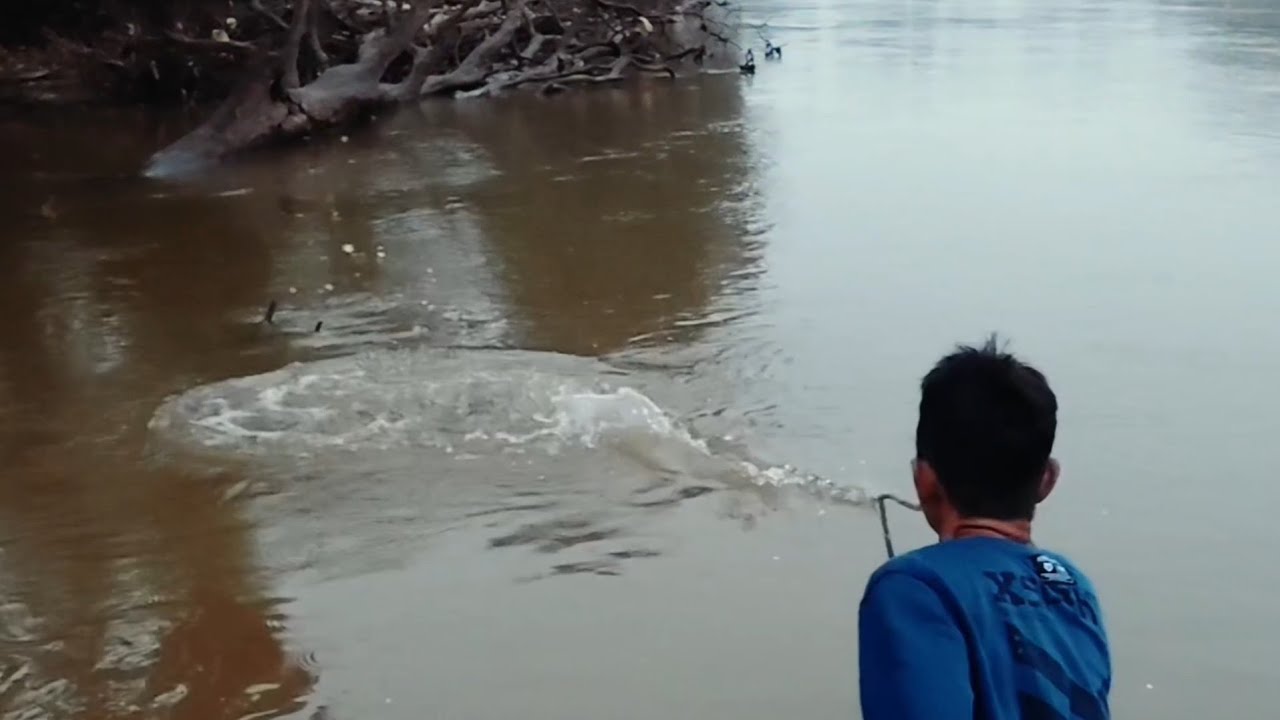 MANCING IKAN HAMPALA IKAN BAUNG LAIS DI SAAT AIR SURUT