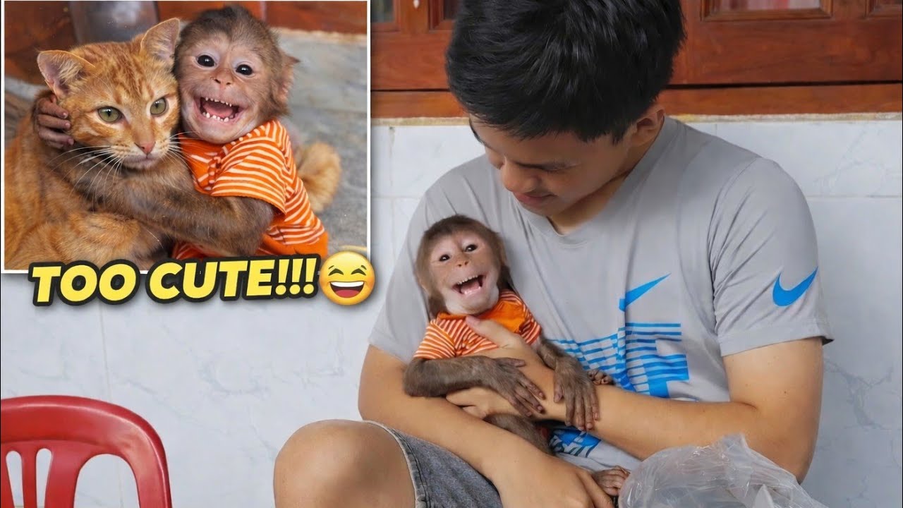 So Cute Yet So Wild 😱 Baby Monkey Cubin Eats & Plays Outdoors 🐵🌿