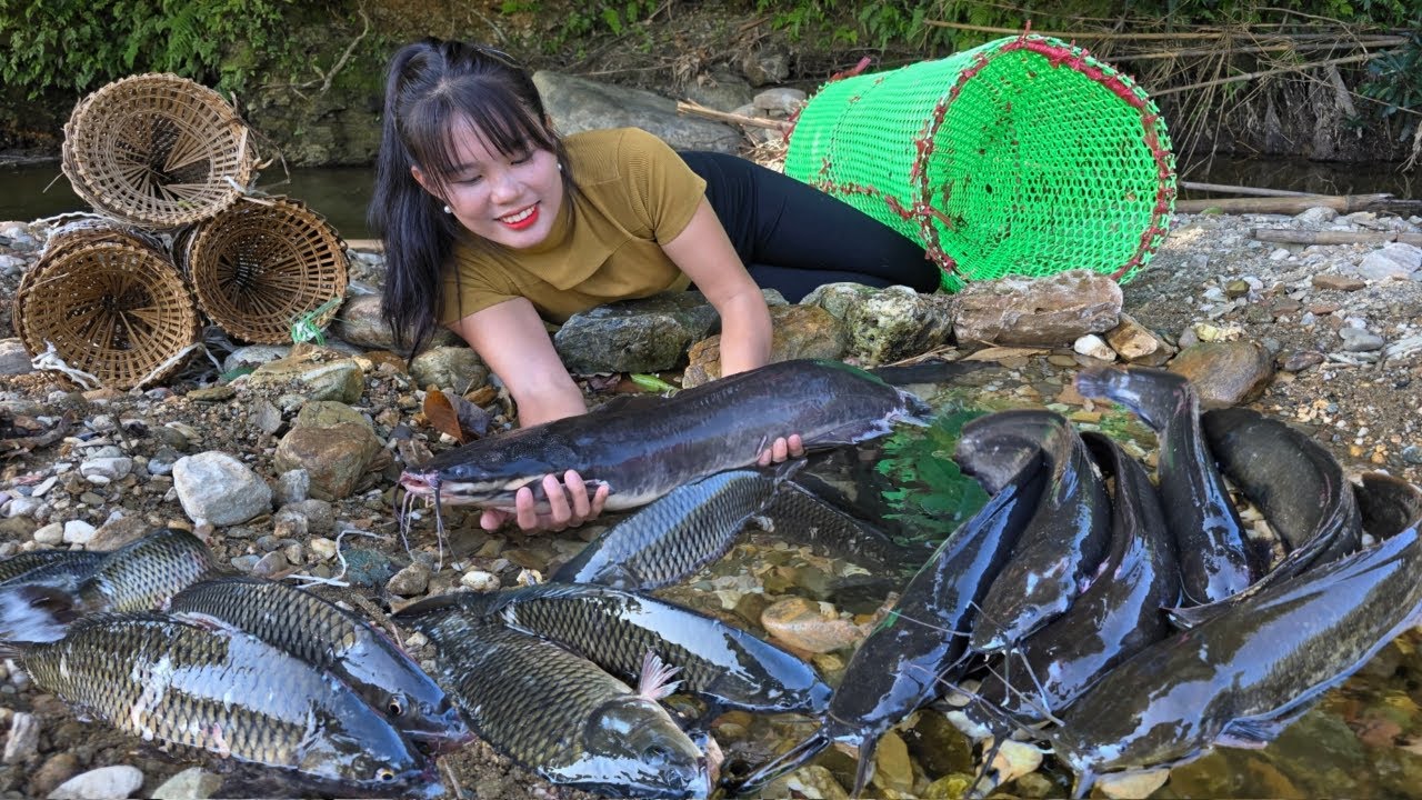 The Girl Caught a Huge School of Fish thanks to Simple Traps She Made Herself