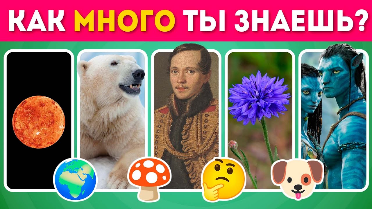 Как много ты знаешь? 🤔/ Ответь на 50 вопросов на эрудицию и общие знания / EMOJI COOL 😎