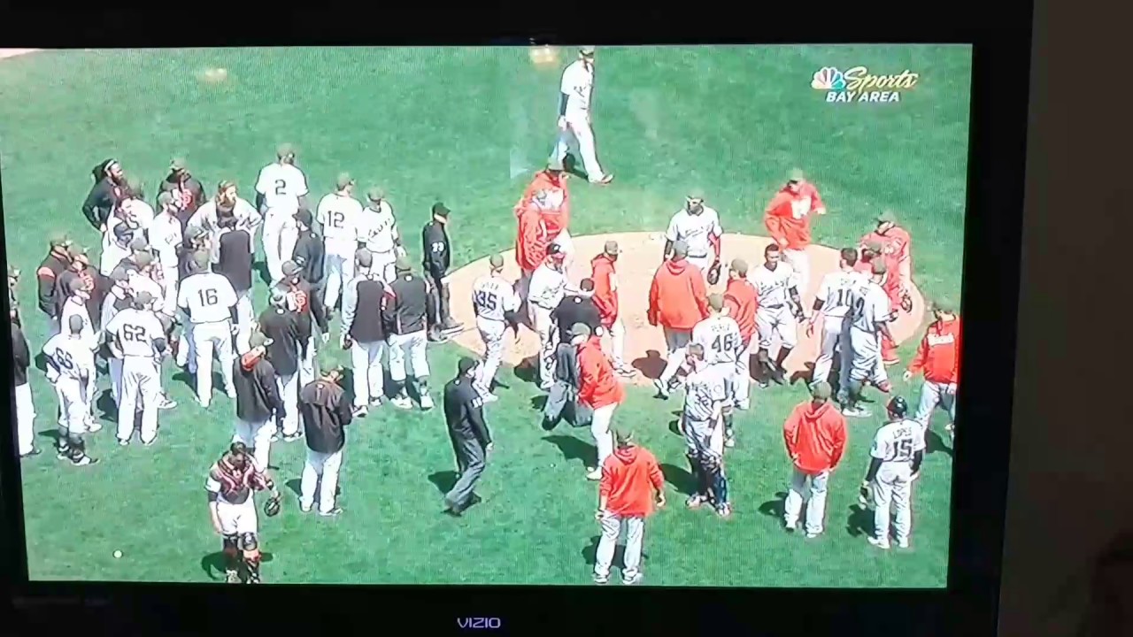 Strickland Harper baseball fight