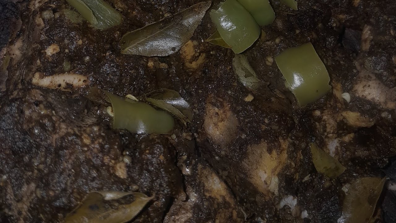 Tuna fish ambul thiyal | Sri lankan's food recipe | ambulthiyal | fish | Jambu vlogs 