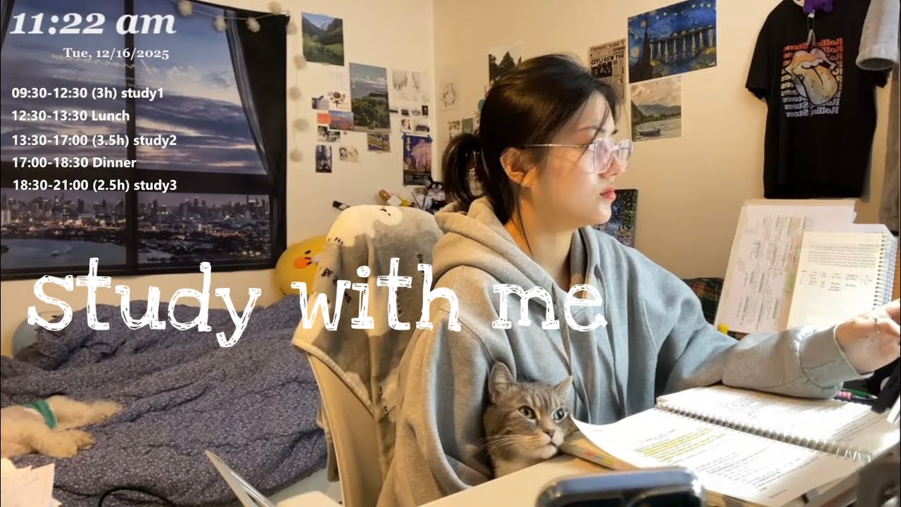 LIVE study with me/ 스터디윗미📚/ 천둥 빗소리, 장작asmr