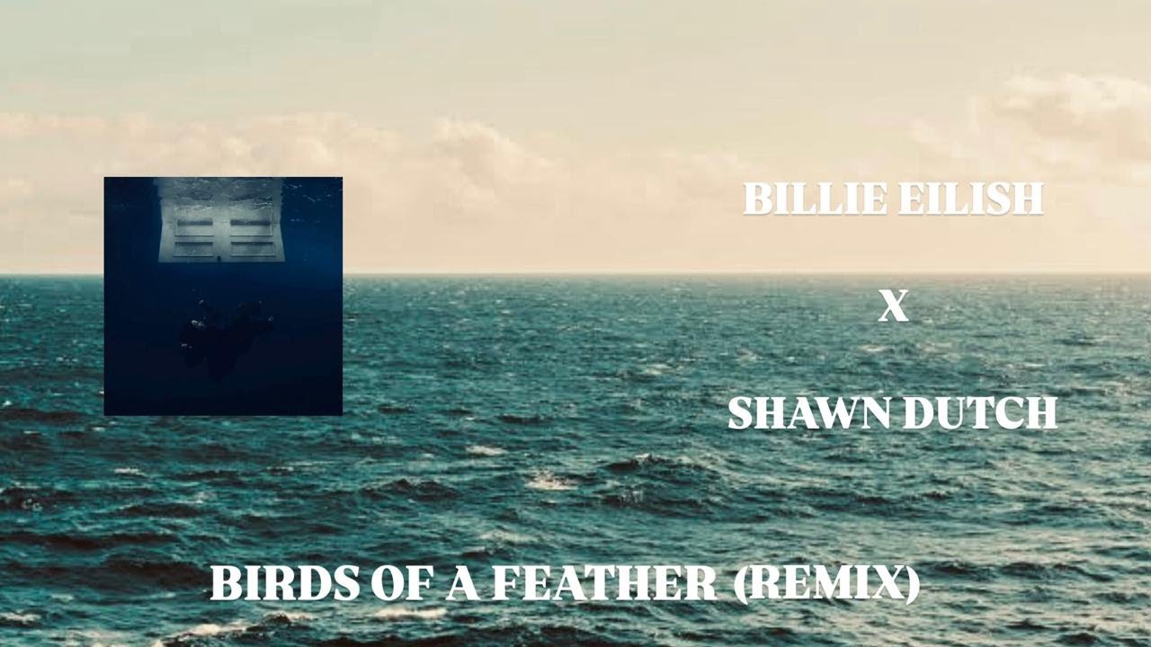 BILLIE EILISH - BIRDS OF A FEATHER (SHAWN DUTCH REMIX)