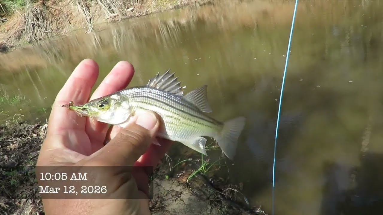 FishTales Best of Luck