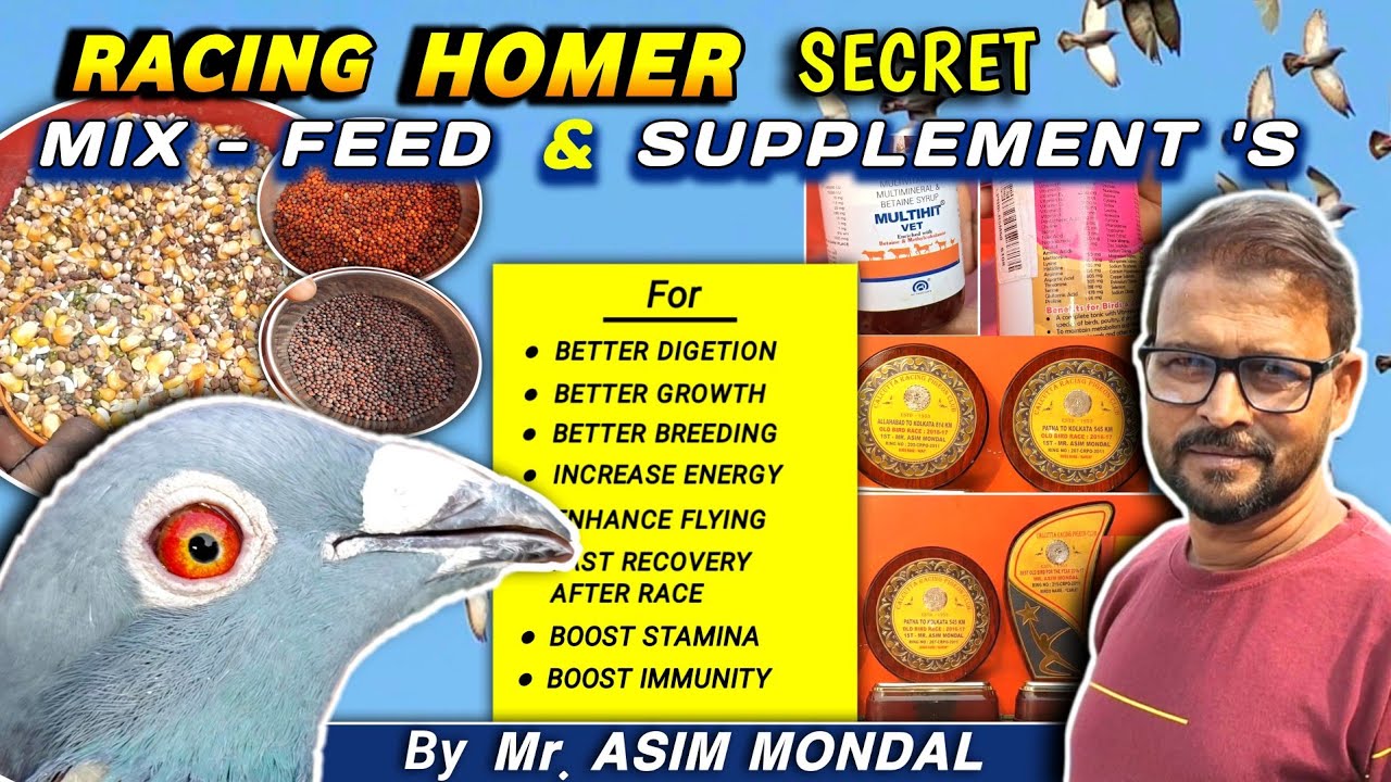 Mix Feed For Racing Homer | Vitamin Supplements For Pigeon | Tips by Asim Mondal 
